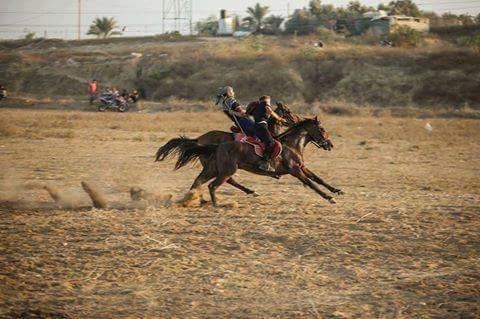 بالصور : فرسان فلسطين